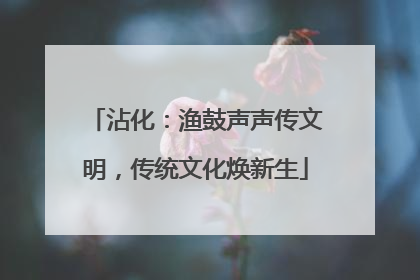 沾化：渔鼓声声传文明，传统文化焕新生