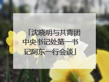 沈晓明与共青团中央书记处第一书记阿东一行会谈