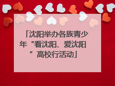 沈阳举办各族青少年“看沈阳、爱沈阳”高校行活动