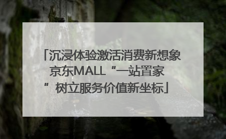 沉浸体验激活消费新想象 京东MALL“一站置家”树立服务价值新坐标