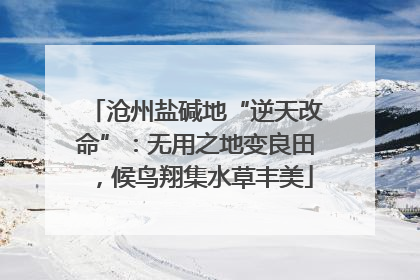 沧州盐碱地“逆天改命”：无用之地变良田，候鸟翔集水草丰美