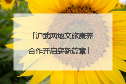 沪武两地文旅康养合作开启崭新篇章