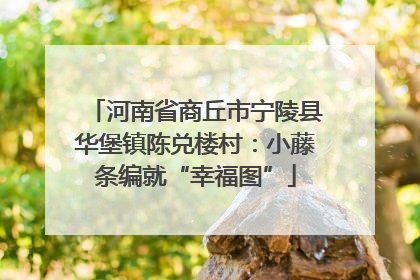 河南省商丘市宁陵县华堡镇陈兑楼村：小藤条编就“幸福图”