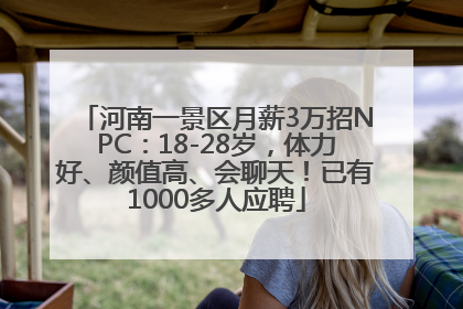 河南一景区月薪3万招NPC：18-28岁，体力好、颜值高、会聊天！已有1000多人应聘