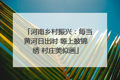 河南乡村振兴：每当黄河日出时 塬上披锦绣 村庄美似画