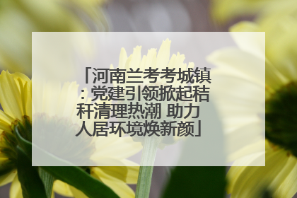 河南兰考考城镇：党建引领掀起秸秆清理热潮 助力人居环境焕新颜