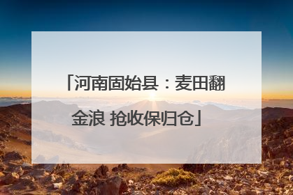 河南固始县：麦田翻金浪 抢收保归仓
