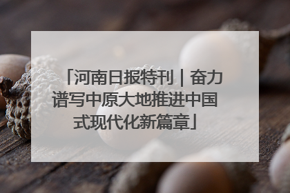 河南日报特刊｜奋力谱写中原大地推进中国式现代化新篇章