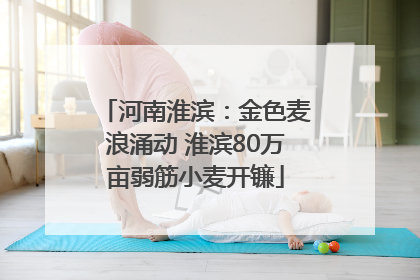 河南淮滨：金色麦浪涌动 淮滨80万亩弱筋小麦开镰