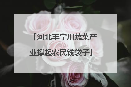 河北丰宁用蔬菜产业撑起农民钱袋子