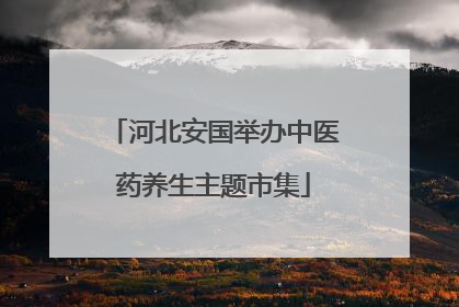 河北安国举办中医药养生主题市集
