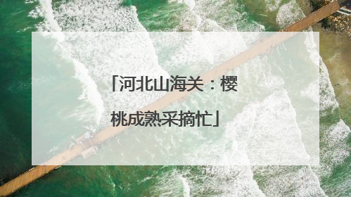 河北山海关：樱桃成熟采摘忙