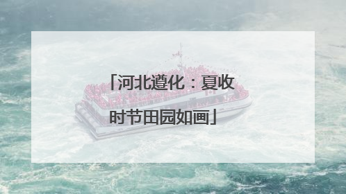 河北遵化：夏收时节田园如画