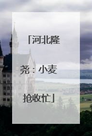 河北隆尧：小麦抢收忙