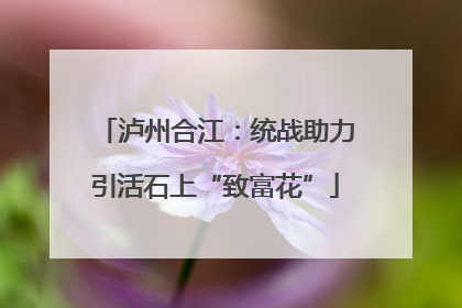 泸州合江：统战助力引活石上“致富花”