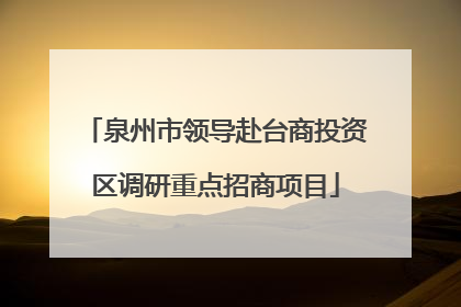 泉州市领导赴台商投资区调研重点招商项目