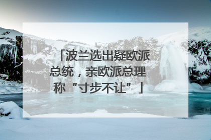 波兰选出疑欧派总统，亲欧派总理称“寸步不让”