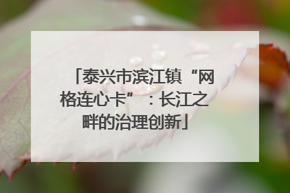 泰兴市滨江镇“网格连心卡”：长江之畔的治理创新