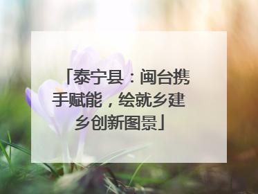 泰宁县：闽台携手赋能，绘就乡建乡创新图景