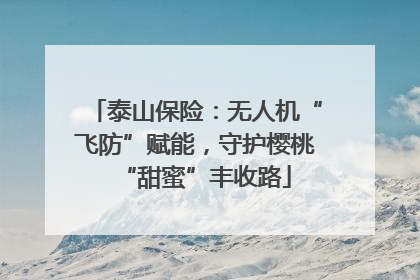 泰山保险：无人机“飞防”赋能，守护樱桃“甜蜜”丰收路