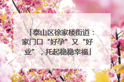 泰山区徐家楼街道：家门口“好孕”又“好业”，托起稳稳幸福