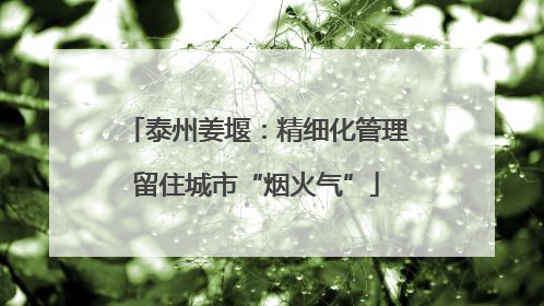 泰州姜堰：精细化管理留住城市“烟火气”