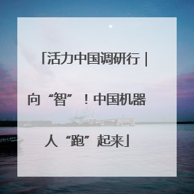 活力中国调研行｜向“智”！中国机器人“跑”起来
