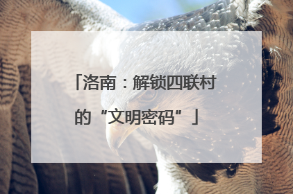 洛南：解锁四联村的“文明密码”
