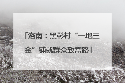 洛南：黑彰村“一地三金”铺就群众致富路