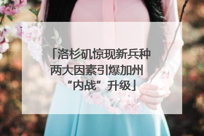 洛杉矶惊现新兵种 两大因素引爆加州“内战”升级