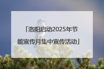 洛阳启动2025年节能宣传月集中宣传活动