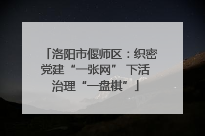 洛阳市偃师区：织密党建“一张网” 下活治理“一盘棋”