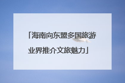 海南向东盟多国旅游业界推介文旅魅力