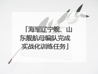 海军辽宁舰、山东舰航母编队完成实战化训练任务