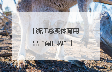 浙江慈溪体育用品“闯世界”