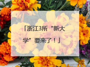 浙江3所“新大学”要来了！