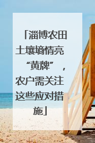 淄博农田土壤墒情亮“黄牌”，农户需关注这些应对措施