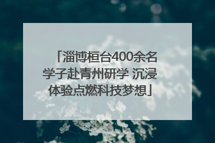 淄博桓台400余名学子赴青州研学 沉浸体验点燃科技梦想