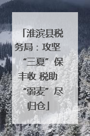 淮滨县税务局：攻坚“三夏”保丰收 税助“弱麦”尽归仓