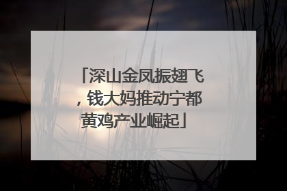 深山金凤振翅飞，钱大妈推动宁都黄鸡产业崛起
