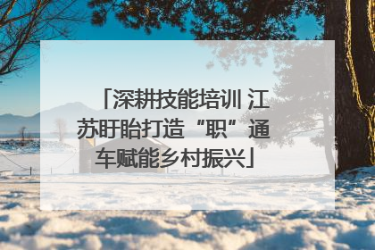 深耕技能培训 江苏盱眙打造“职”通车赋能乡村振兴