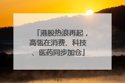 港股热浪再起，高瓴在消费、科技、医药同步加仓