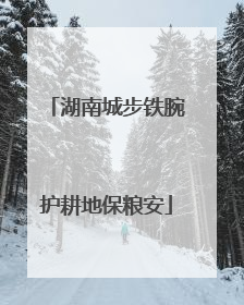 湖南城步铁腕护耕地保粮安
