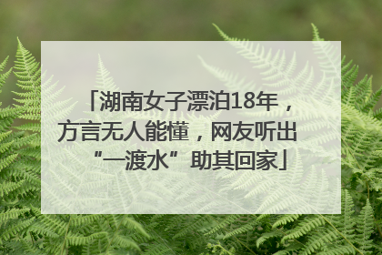湖南女子漂泊18年，方言无人能懂，网友听出“一渡水”助其回家