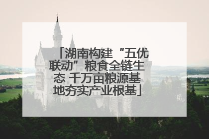湖南构建“五优联动”粮食全链生态 千万亩粮源基地夯实产业根基