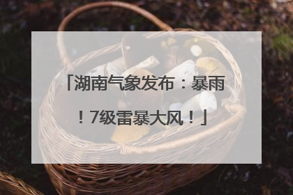 湖南气象发布：暴雨！7级雷暴大风！