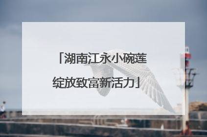 湖南江永小碗莲绽放致富新活力