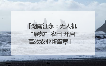 湖南江永：无人机“展翅”农田 开启高效农业新篇章