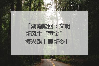 湖南隆回：文明新风生“黄金” 振兴路上展新姿