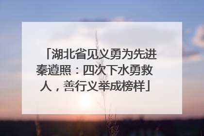 湖北省见义勇为先进秦遵照：四次下水勇救人，善行义举成榜样